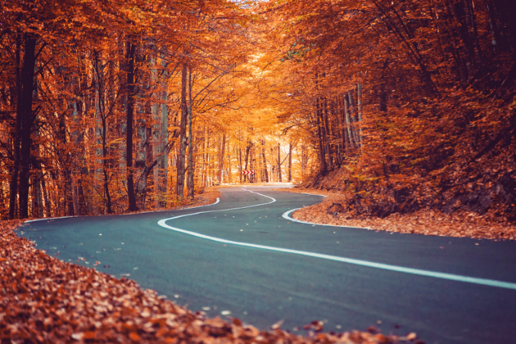 Fall Motorcycle Rides in Ohio - Cutler Real Estate